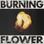Burning Flower