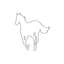 White Pony